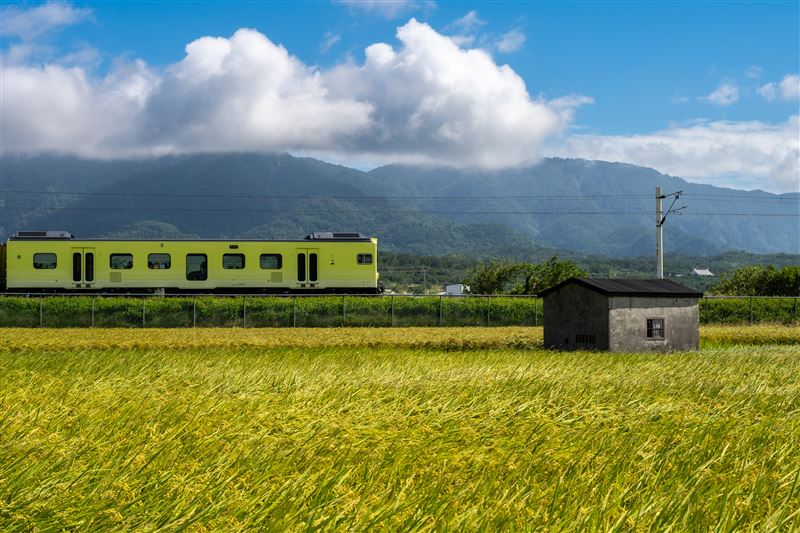 上帝遺忘在花蓮的金色禮物曝光了!攝影師林建邦拍的《池上秋收》天堂美如仙境震撼國際。(圖/攝影師林建邦提供)