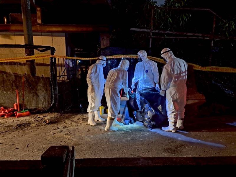 非洲豬瘟例場進行第3度清消大工程,因內部雜亂超乎預期,市府凌晨緊急向軍方求援增派官兵清理。(圖/陸軍第十軍團提供)