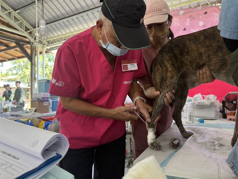 花蓮獸醫義診。(圖/社團法人中華民國保護動物協會提供)