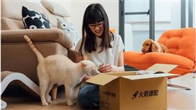 Herdy是Coupang酷澎的WOW會員，也是忠實愛用者，常在酷澎為毛孩選購好物。（圖／酷澎提供）