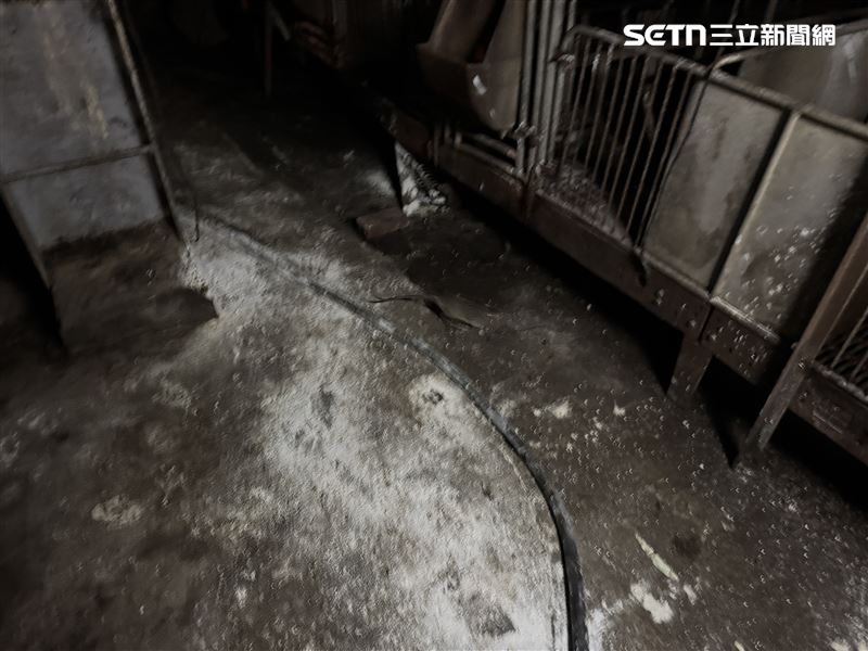 地方政府兩度進行清消後的現場狀況,仍髒亂不堪,還有老鼠逃竄。(圖/讀者提供)