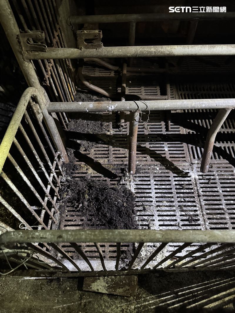 地方政府兩度進行清消後的現場狀況。(圖/讀者提供)