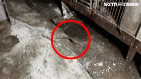 地方政府兩度進行清消後的現場狀況。(圖/讀者提供)
