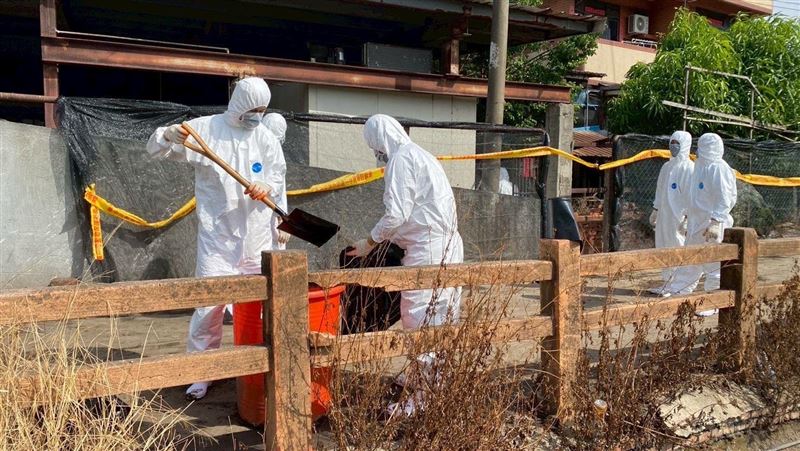 台中豬瘟場3度採陽 將採樣飼主家環境