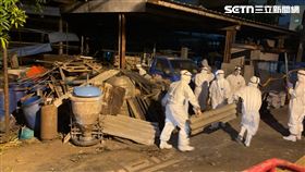 非洲豬瘟,台中,清消,養豬場(圖/翻攝畫面)