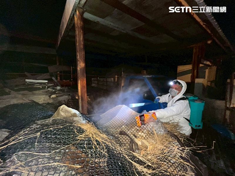 豬瘟多次清消失敗，與現場髒亂環境及堆放許多雜物有關。(圖/翻攝畫面)