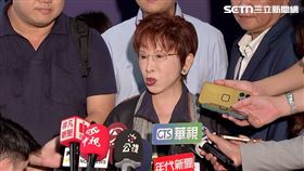 洪秀柱批評德國之聲不懷好意。（圖／翻攝畫面）