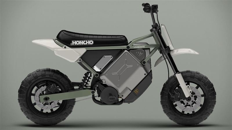 哈雷電動小鋼砲　技術核心來自台灣