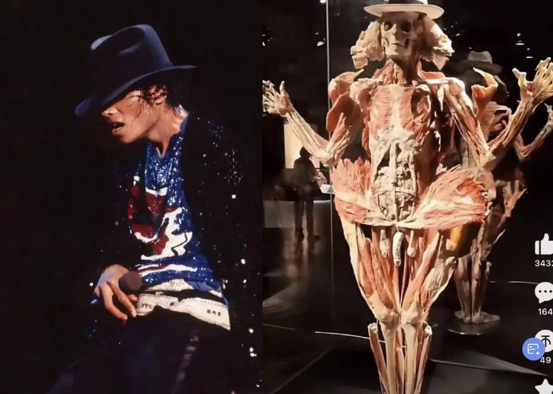 疑似有兩具標本,像極國際巨星柯比還有麥可傑克森。(圖/翻攝自TikTok)