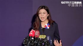 鄭麗文受訪。（圖／翻攝畫面）