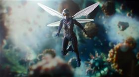 鴻海研究院與日本量子軟體公司 QunaSys 合作成果登上國際期刊，成功開發量子化學模擬新架構，結合壓縮編碼與神經網路，大幅減少運算資源。此技術有望加速藥物設計與新材料研發，讓量子模擬真正走入產業應用。（示意圖／PIXABAY）