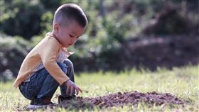 芬蘭正在推行幼兒園引進自然元素，因為研究表明，接觸自然環境對兒童有正面影響。（示意圖／PIXABAY）