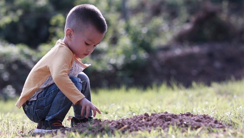 捏捏捏泥巴!研究:從小玩土長大免疫力佳