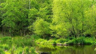 讓敵軍陷泥淖！波蘭芬蘭重建濕地增防禦力