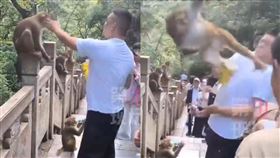 報應來太快！中國男「賞猴子巴掌」下秒慘遭飛踢　畫面超療癒。（圖／微博）