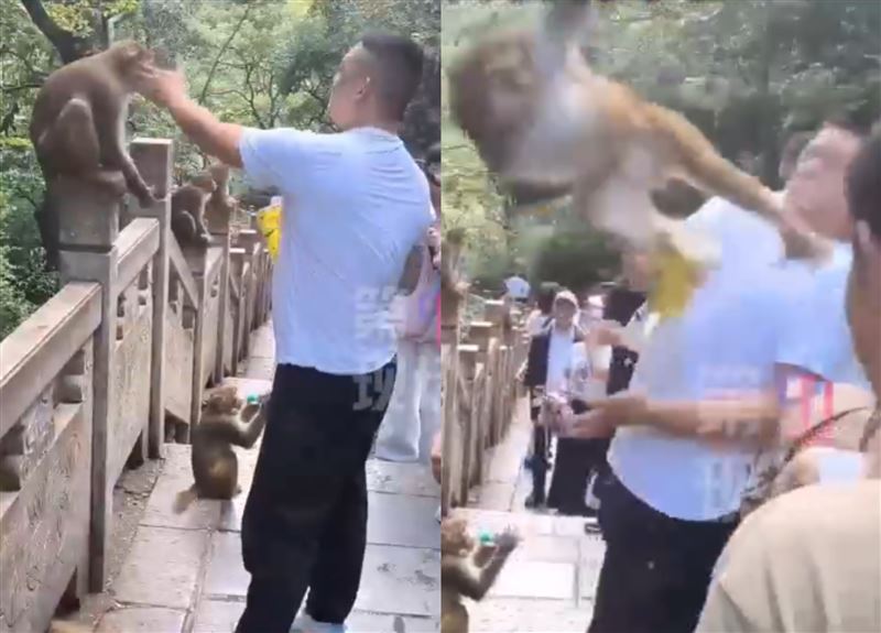 男子賞猴子巴掌，結果下秒慘遭飛踢。（圖／微博）