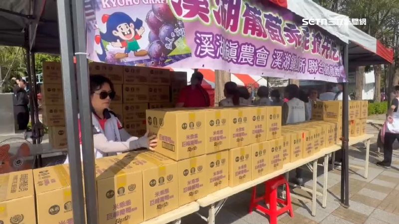 溪湖鎮盛產巨峰葡萄