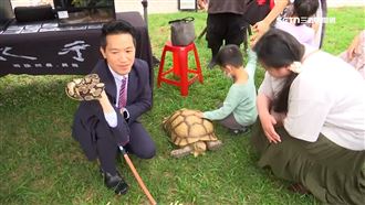何志偉勤跑桃園！挑戰蛇、猛禽近距離接觸