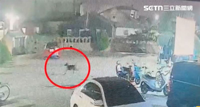 大人在廟埕前辦桌大啖平安宴慶祝，黑狗咬人後被驅趕。（圖／翻攝畫面）