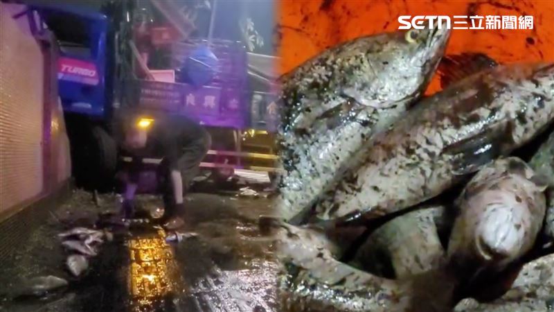 一輛載著養殖鱸魚的貨車，不明原因撞破路邊冷凍公司圍牆，市值20萬元鱸魚全跳車。（圖／翻攝畫面）