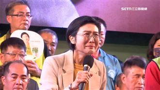 首場造勢晚會3萬人相挺　林岱樺淚灑現場