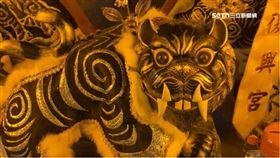 ▲虎爺。（圖／三立新聞網）