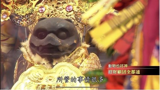 虎爺不僅是財神也是幼童的守護神（圖／寶島神很大）