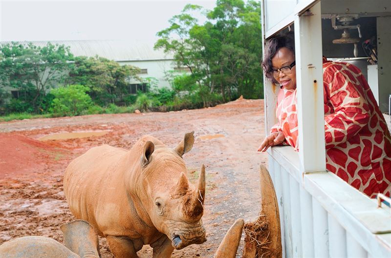史瓦帝尼王國參訪團搭乘犀望巴士深入犀牛展場,史國觀光暨環境事務部部長姆孔妲驚艷六福結合犀牛保育、環境教育推動永續旅遊。(圖/飯店旅宿業者提供)