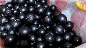 樹葡萄。（圖／翻攝自臉書粉專《泌尿科呂謹亨醫師-大亨醫師》） 