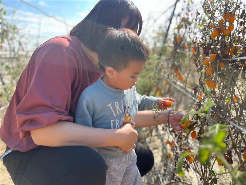 2025路竹番茄節－將於12/13-14路竹體育園區閃亮登場！