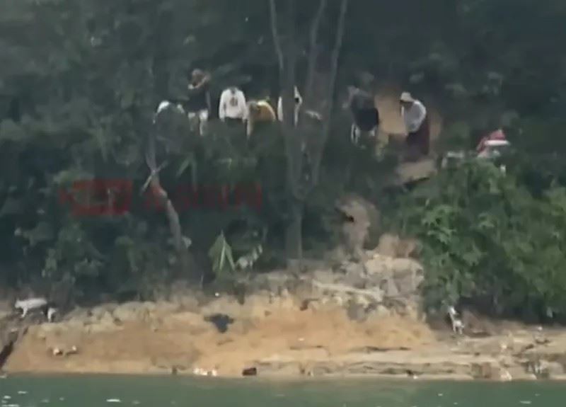 多人拿著麻布袋在水庫岸邊放生貓咪，被路人目擊。（翻攝畫面）