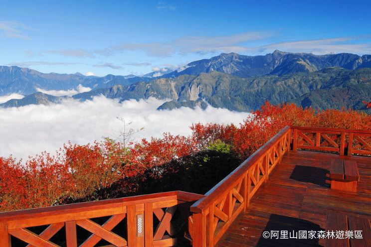 阿里山國家森林遊樂區。（圖／FineDayClub提供）