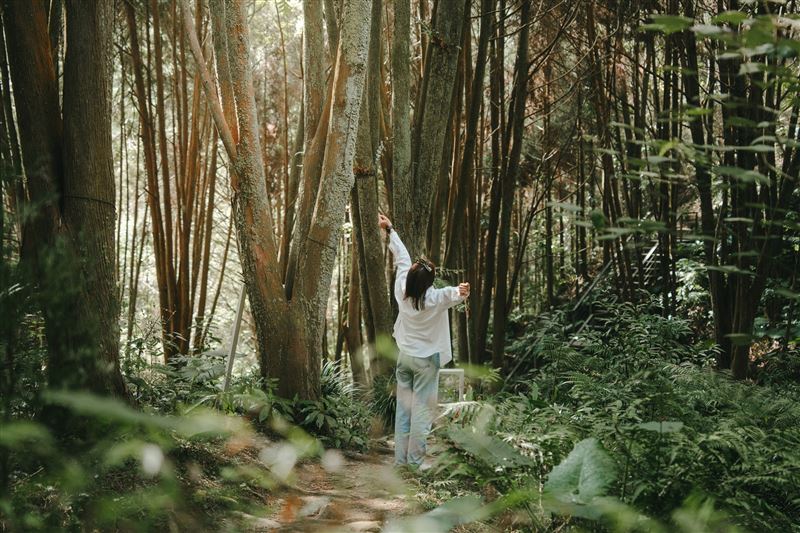 薰衣草森林兩天一夜雙人體驗券3,499元起。（圖／飯店旅宿業者提供）