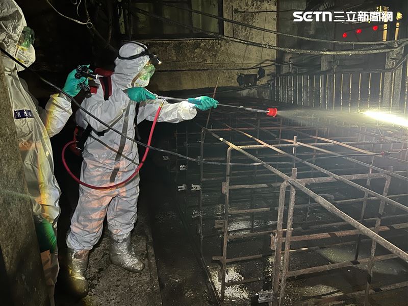 台中梧棲一家養豬場爆發非洲豬瘟，國軍化學兵進駐清消。（圖／十軍團提供）