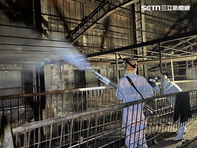 台中梧棲一家養豬場爆發非洲豬瘟，國軍化學兵進駐清消。（圖／十軍團提供）