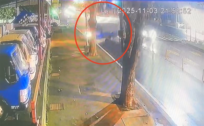 小貨車甩尾撞路邊燈桿，駕駛傷重不治。（圖／翻攝畫面）