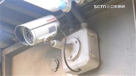 6支電眼緊盯嘛嘸效! 客買芭樂