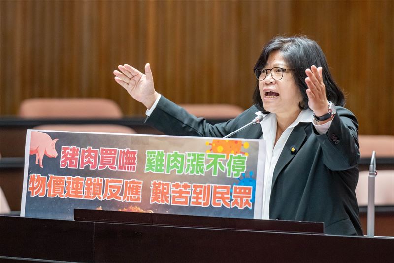民進黨立委王美惠針對豬隻禁宰禁運問題，質詢行政院長卓榮泰（圖／王美惠國會辦公室提供）