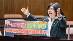 民進黨立委王美惠針對豬隻禁宰禁運問題，質詢行政院長卓榮泰（圖／王美惠國會辦公室提供） 