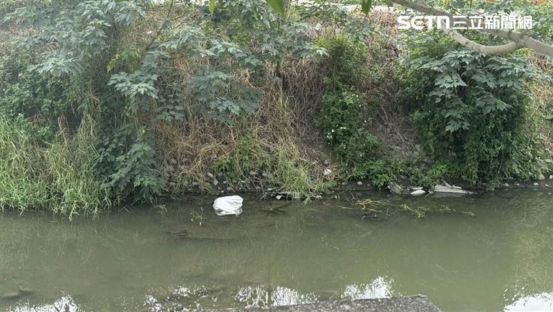 彰化伯羊死了！憂被誤會染疫…棄屍滑倒亡