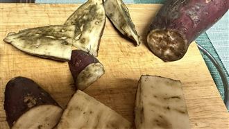 高嘉瑜表示，自己從大全聯買到一包全都爛掉的地瓜，更找不到客服，還被自動掛掉電話。（圖／翻攝自高嘉瑜臉書）