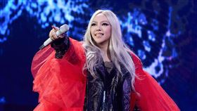 張惠妹宣布將在台東唱跨年。（圖／臺東縣政府提供）