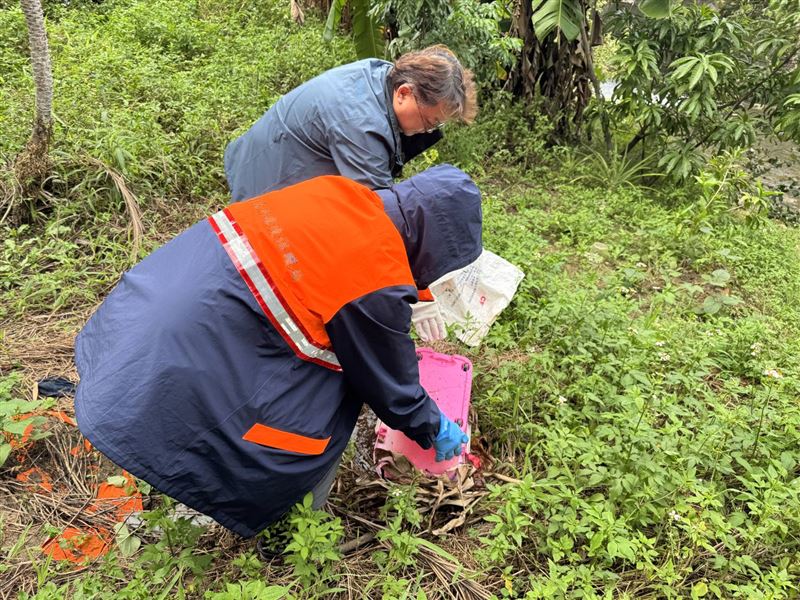 請民眾把握雨後空檔主動清除家戶內外積水容器避免養蚊,落實「巡、倒、清、刷」,以降低病媒蚊密度。(圖/新北衛生局提供)