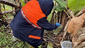 請民眾把握雨後空檔主動清除家戶內外積水容器避免養蚊，落實「巡、倒、清、刷」，以降低病媒蚊密度。（圖／新北衛生局提供）