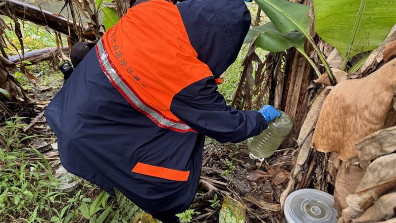 新/今年首例！新北6旬婦頭暈染本土登革熱