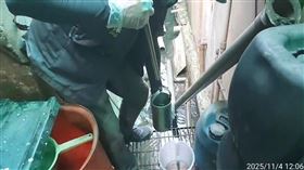 鳳山溪,污染,高雄市