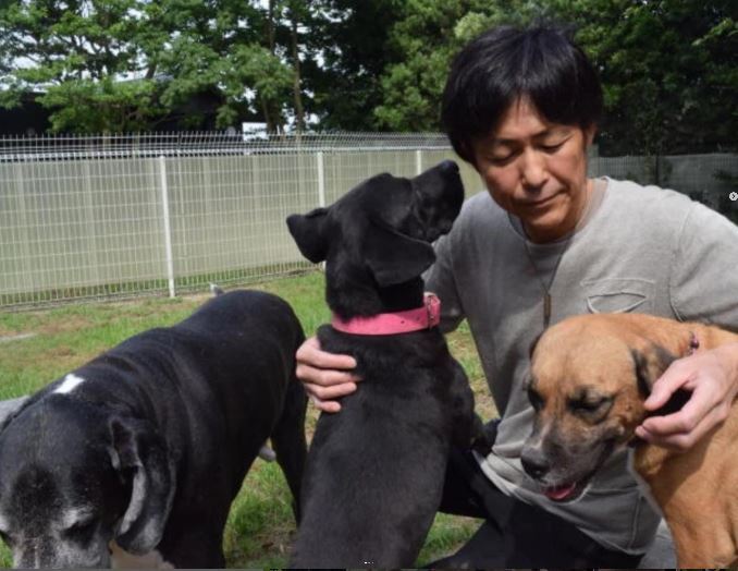 愛犬把齋藤宏隆硬生生從絕望拉了回來。而齋藤宏隆的人生，也從那一刻起被徹底改寫。（圖／翻攝自Instagram @wansfree）