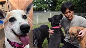 齋藤宏隆；Wansfree 寵物收容所（圖／翻攝自Instagram @wansfree）