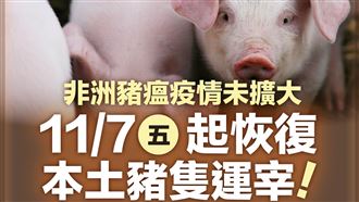 賴清德：預計11/8，市場會開始供應溫體豬