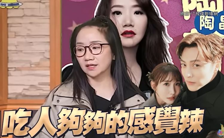 陶晶瑩分析粿粿偷吃王子事件。（圖／翻攝自飛碟聯播網Youtube）